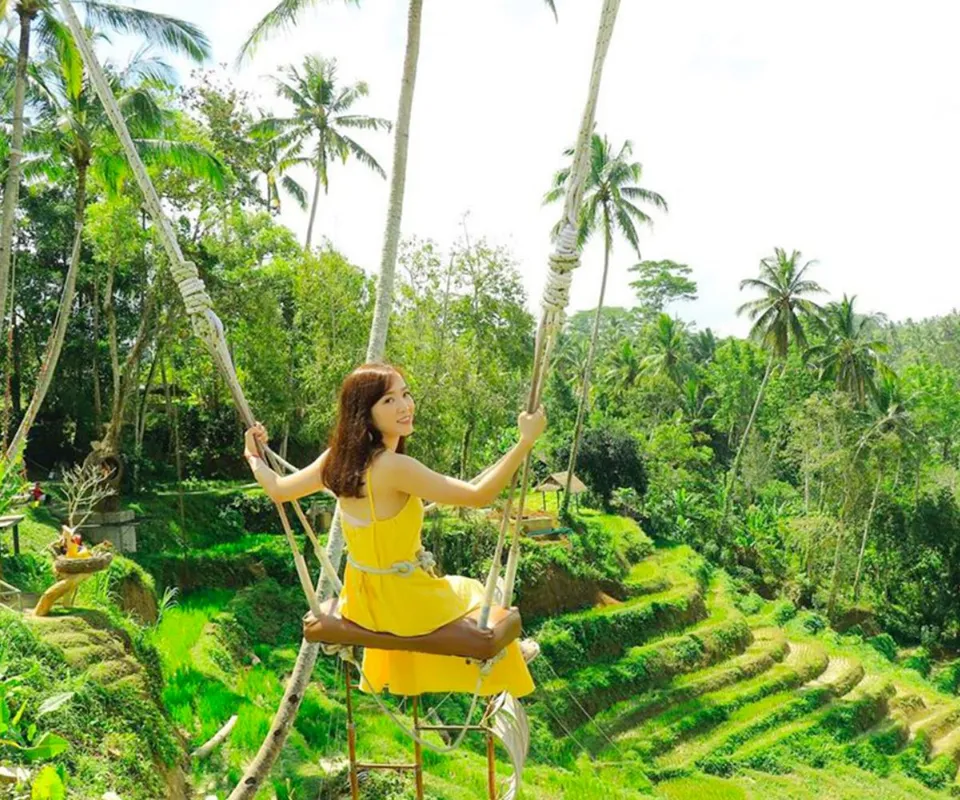 Bali Swing Package 3