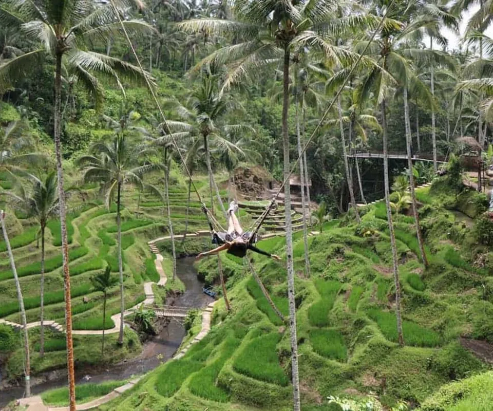 Bali Swing Package 5
