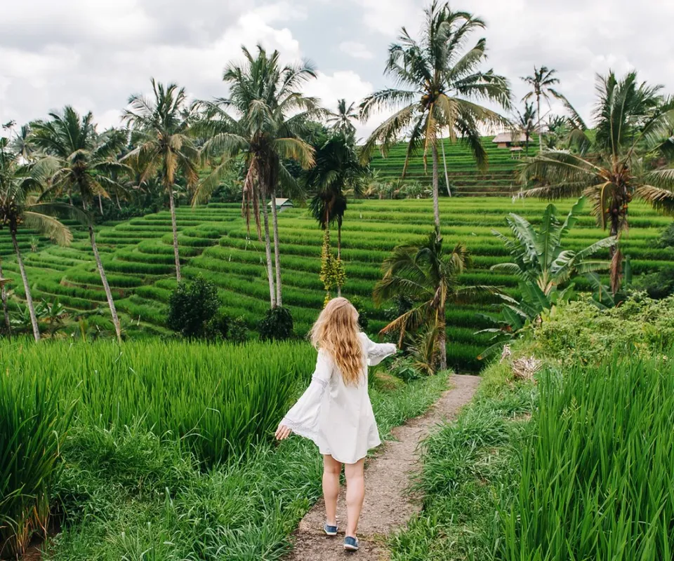 Rice Terrace Trekking Jatiluwih 2