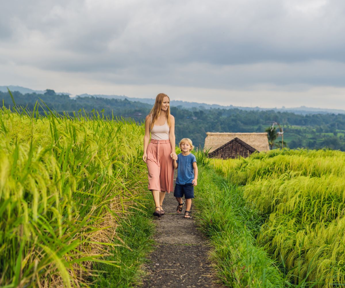 Rice Terrace Trekking Jatiluwih 4
