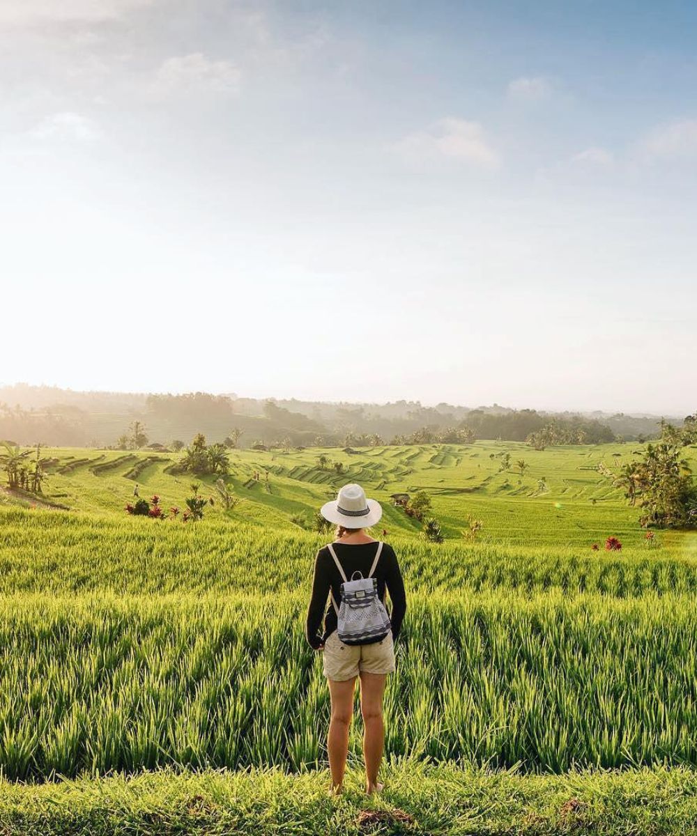 Jatiluwih from Ubud 2026: Complete Day Trip Guide to Bali's Largest Rice Terraces